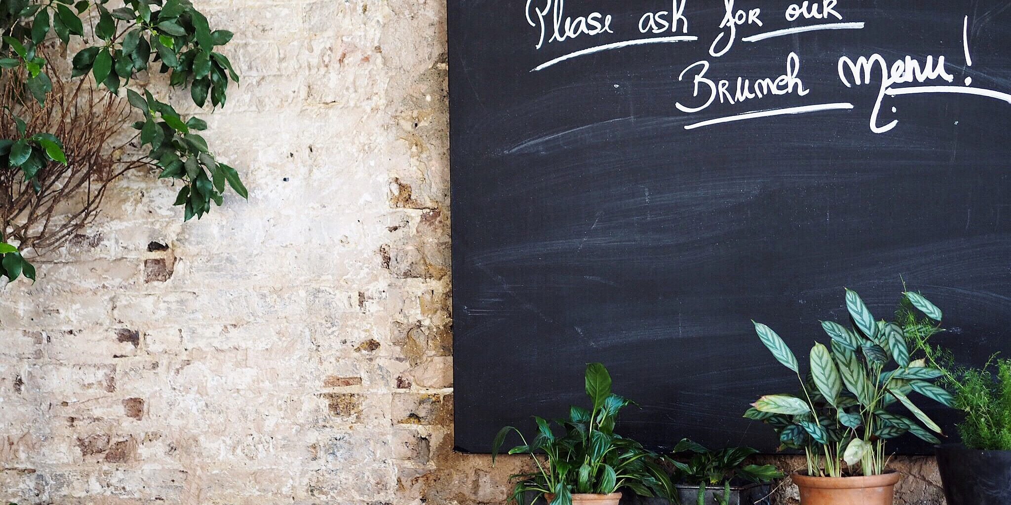 brunch-restaurant-menu-natasha-kapur please ask for our brunch menu written in chalk on blackboard near potted plants