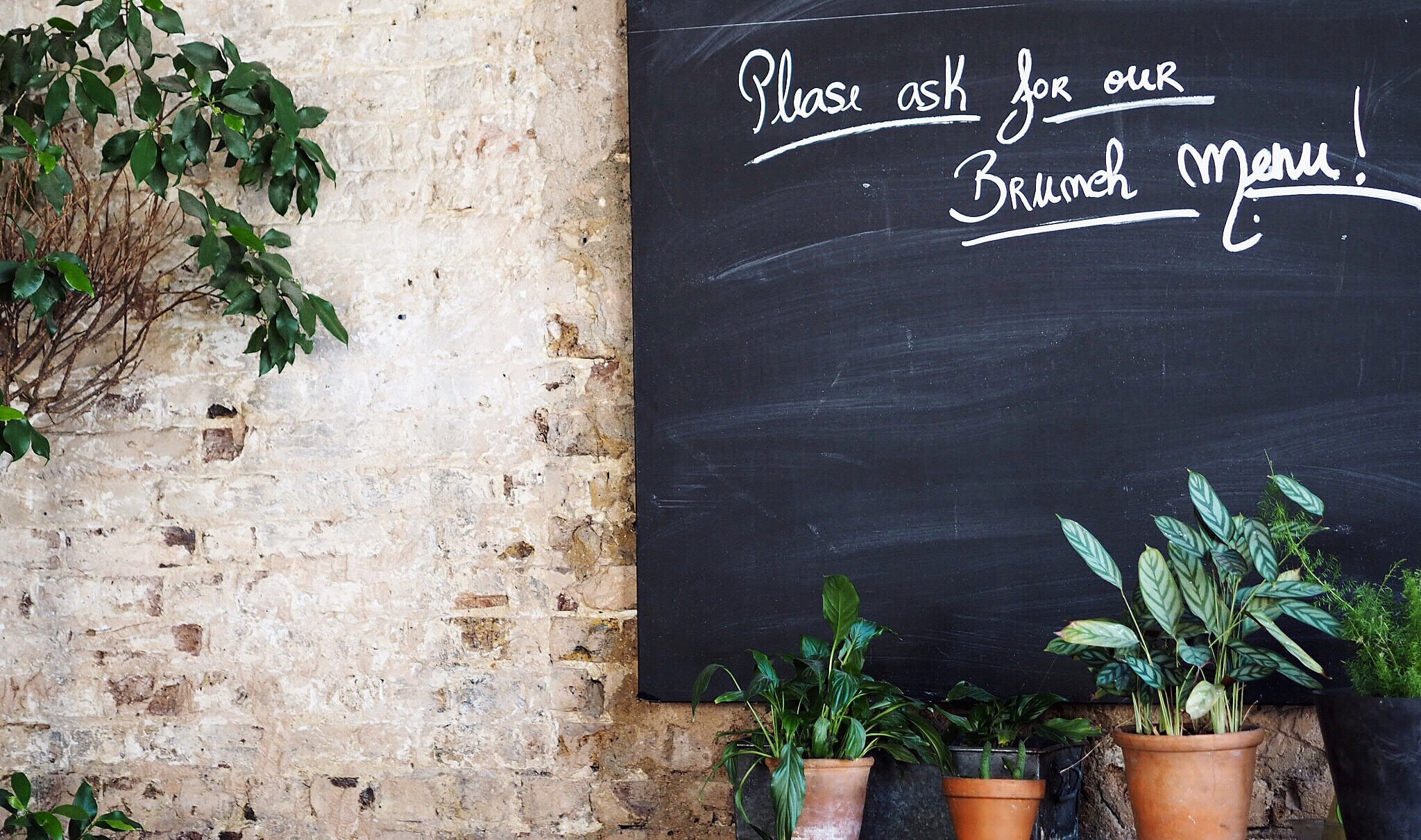 please ask for our brunch menu written in chalk on blackboard near potted plants